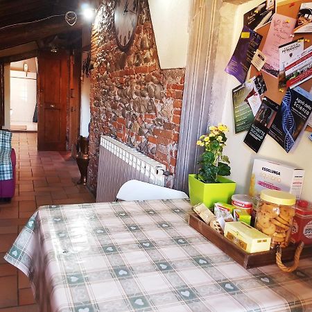 Appartement Old Pelleria à Lucques Extérieur photo